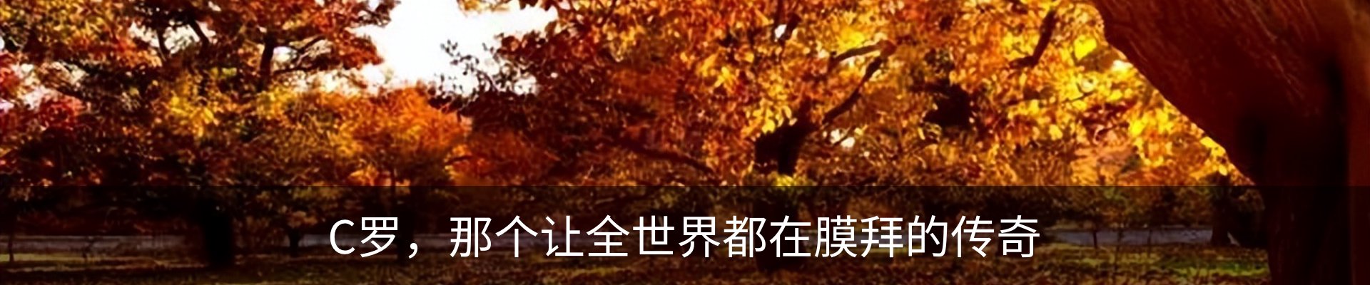 内页banner